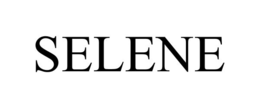 Mark drawing for SELENE