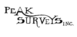 Mark drawing for PEAK SURVEYS INC.