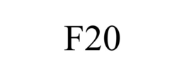 Mark drawing for F20