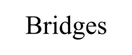 Mark drawing for BRIDGES