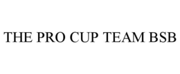 Mark drawing for THE PRO CUP TEAM BSB