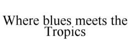Mark drawing for WHERE BLUES MEETS THE TROPICS