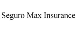Mark drawing for SEGURO MAX INSURANCE