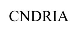 Mark drawing for CNDRIA