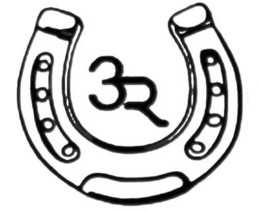 Mark drawing for 3R