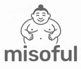 Mark drawing for MISOFUL