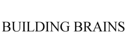 Mark drawing for BUILDING BRAINS