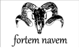 Mark drawing for FORTEM NAVEM