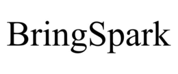 Mark drawing for BRINGSPARK