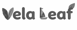 Mark drawing for VELA LEAF
