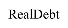 Mark drawing for REALDEBT