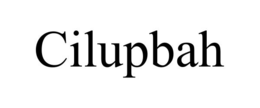 Mark drawing for CILUPBAH