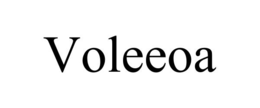 Mark drawing for VOLEEOA