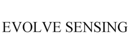 Mark drawing for EVOLVE SENSING