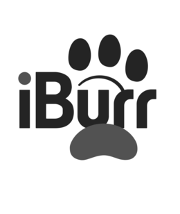 Mark drawing for IBURR