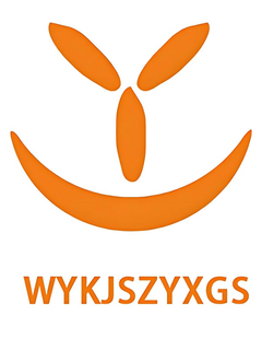 Mark drawing for WYKJSZYXGS