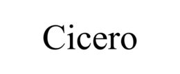 Mark drawing for CICERO