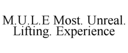 Mark drawing for M.U.L.E MOST. UNREAL. LIFTING. EXPERIENCE