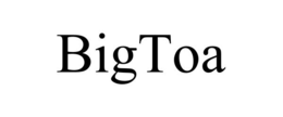 Mark drawing for BIGTOA