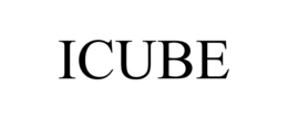 Mark drawing for ICUBE