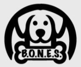 Mark drawing for B.O.N.E.S.