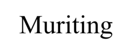Mark drawing for MURITING