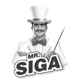 Mark drawing for MR.SIGA