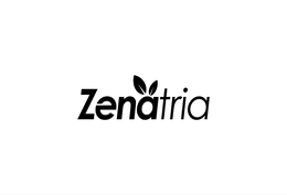 Mark drawing for ZENATRIA