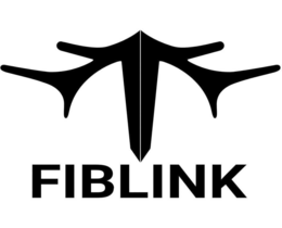 Mark drawing for FIBLINK