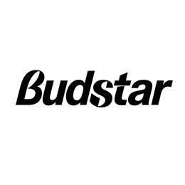 Mark drawing for BUDSTAR