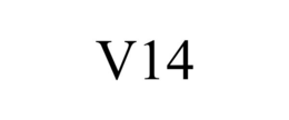 Mark drawing for V14