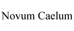 Mark drawing for NOVUM CAELUM
