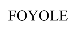 Mark drawing for FOYOLE