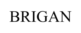 Mark drawing for BRIGAN