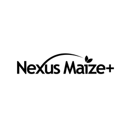 Mark drawing for NEXUS MAIZE+