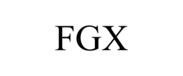 Mark drawing for FGX