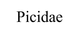 Mark drawing for PICIDAE