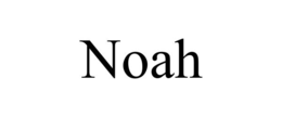 Mark drawing for NOAH