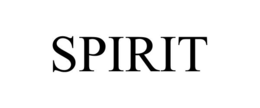 Mark drawing for SPIRIT