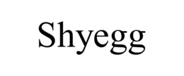 Mark drawing for SHYEGG