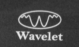 Mark drawing for W WAVELET