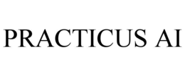 Mark drawing for PRACTICUS AI