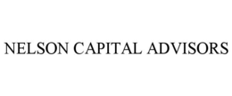Mark drawing for NELSON CAPITAL ADVISORS