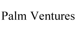 Mark drawing for PALM VENTURES