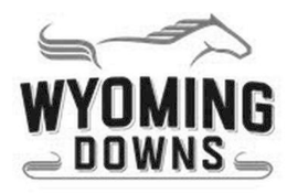 Mark drawing for WYOMING DOWNS