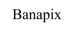 Mark drawing for BANAPIX