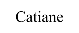 Mark drawing for CATIANE