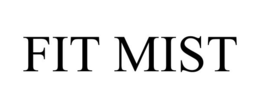 Mark drawing for FIT MIST