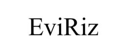Mark drawing for EVIRIZ