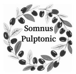 Mark drawing for SOMNUS PULPTONIC